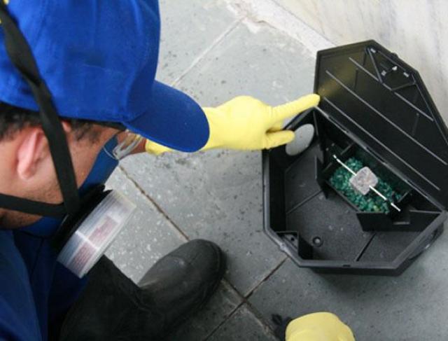 Controle de Roedores